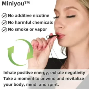 THE Miniyou™